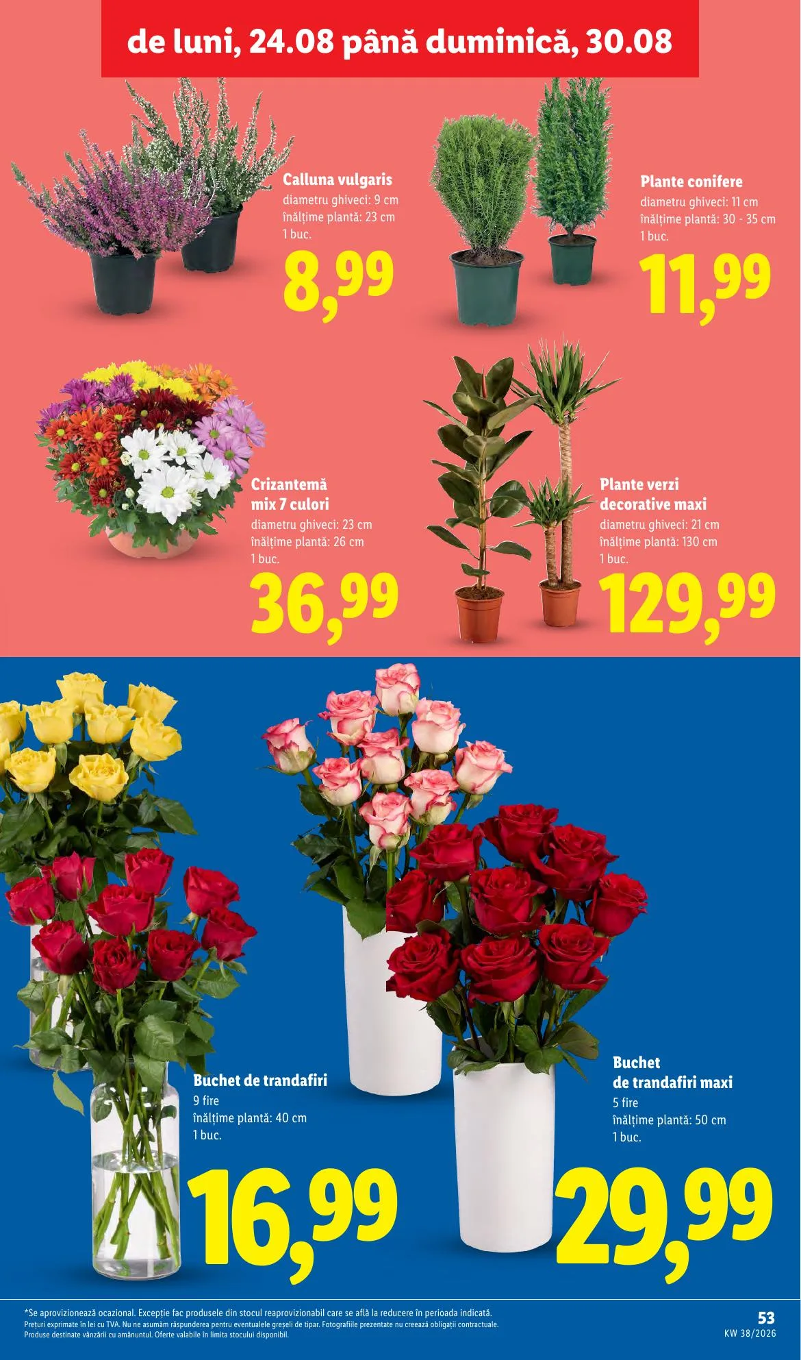 Lidl akciós újság Románia 09.14–09.20 – 53. oldal
