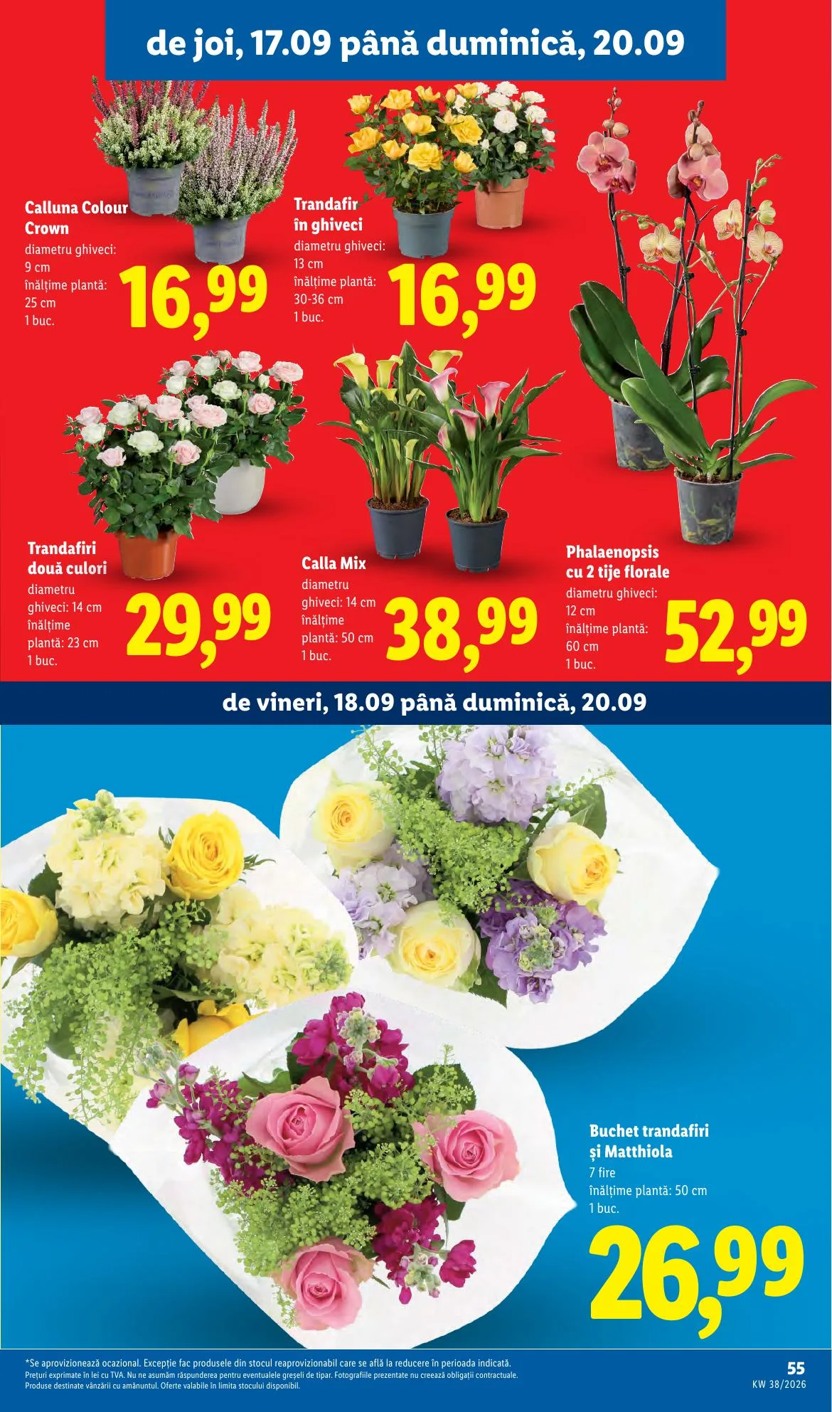 Lidl akciós újság Románia 09.14–09.20 – 55. oldal