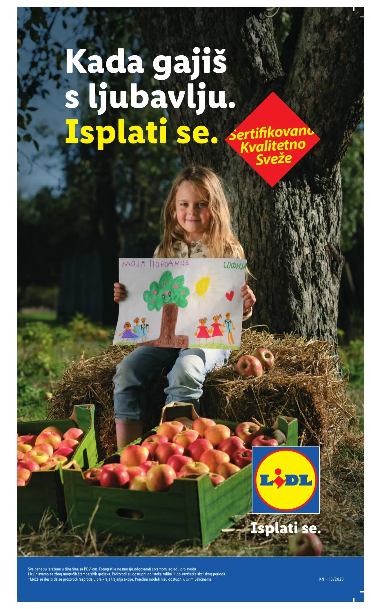 Lidl akciós újság Szerbia 04.16–04.22 – 17. oldal