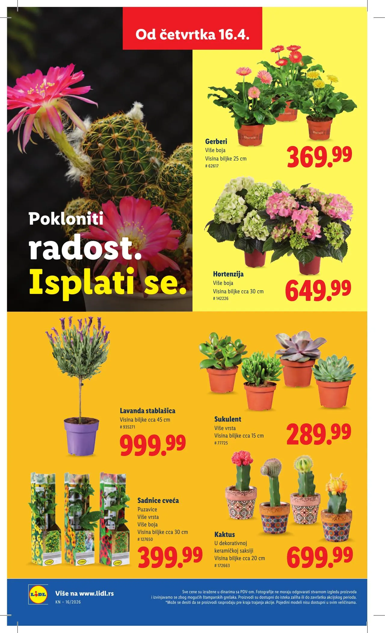 Lidl akciós újság Szerbia 04.16–04.22 – 62. oldal