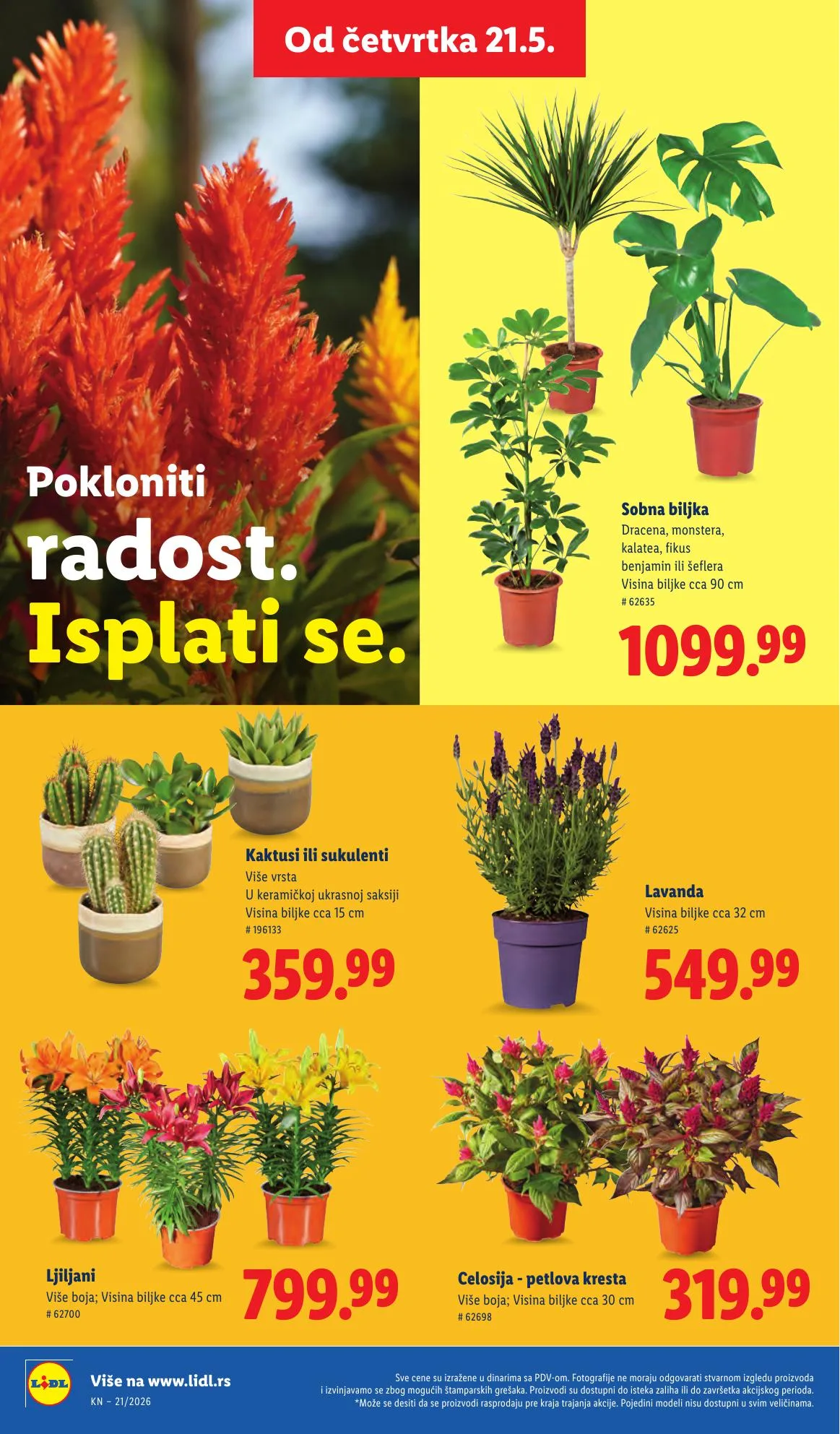 Lidl akciós újság Szerbia 05.21–05.27 – 64. oldal