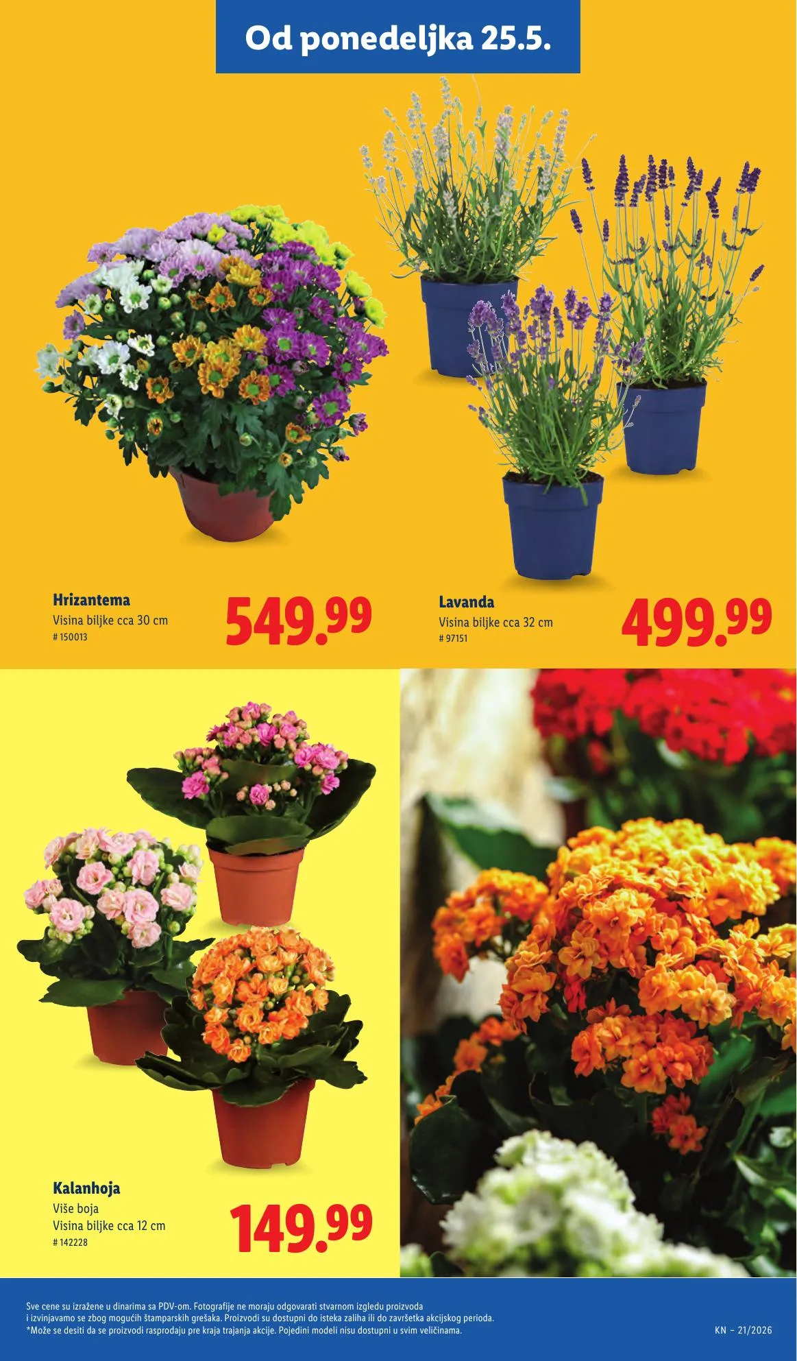 Lidl akciós újság Szerbia 05.21–05.27 – 65. oldal