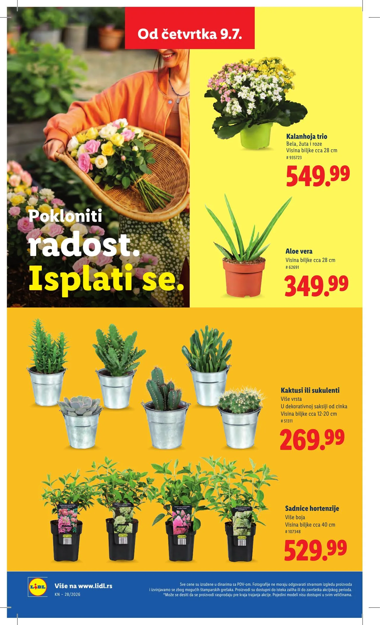 Lidl akciós újság Szerbia 07.09–07.15 – 62. oldal