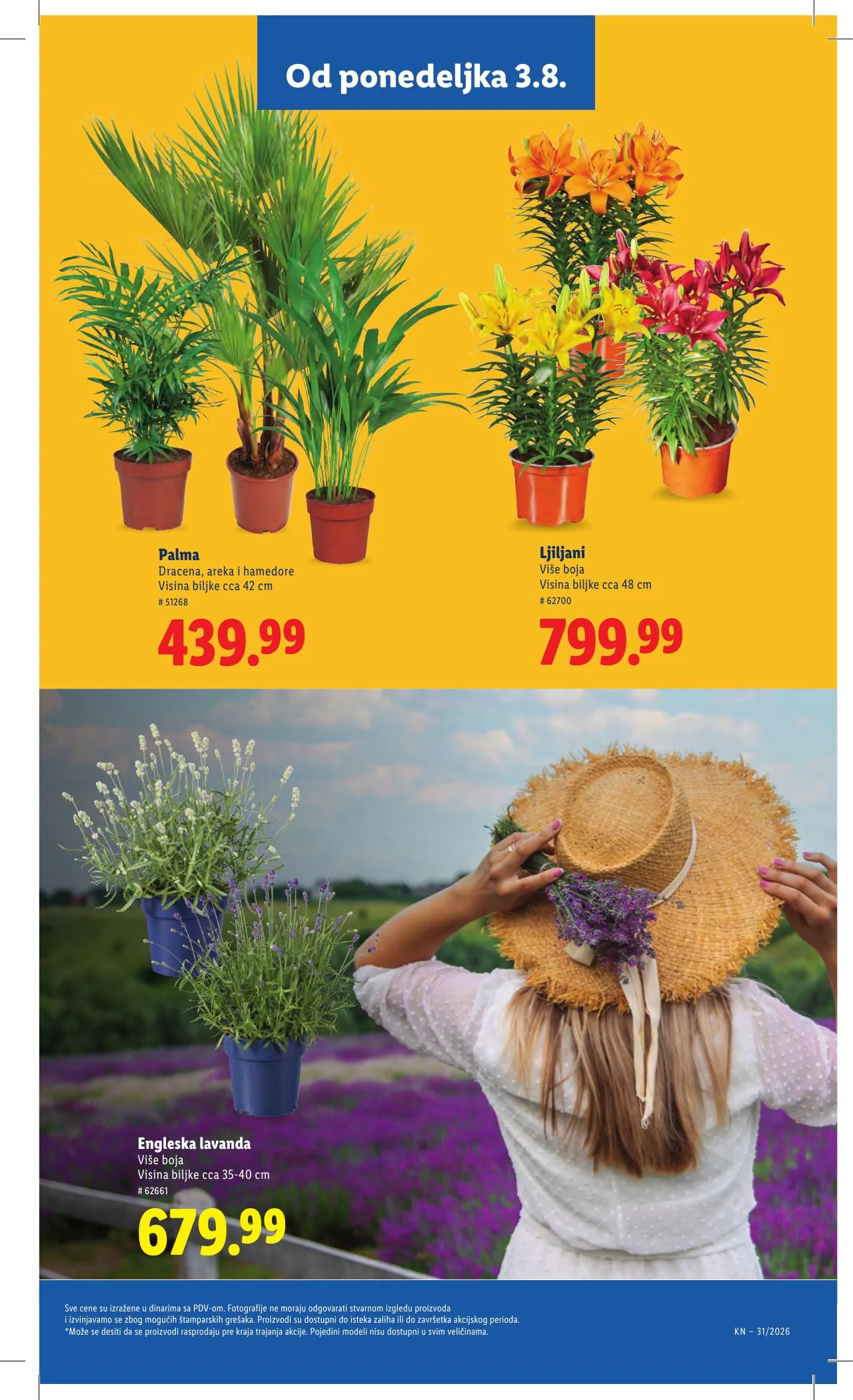 Lidl akciós újság Szerbia 07.30–08.05 – 71. oldal