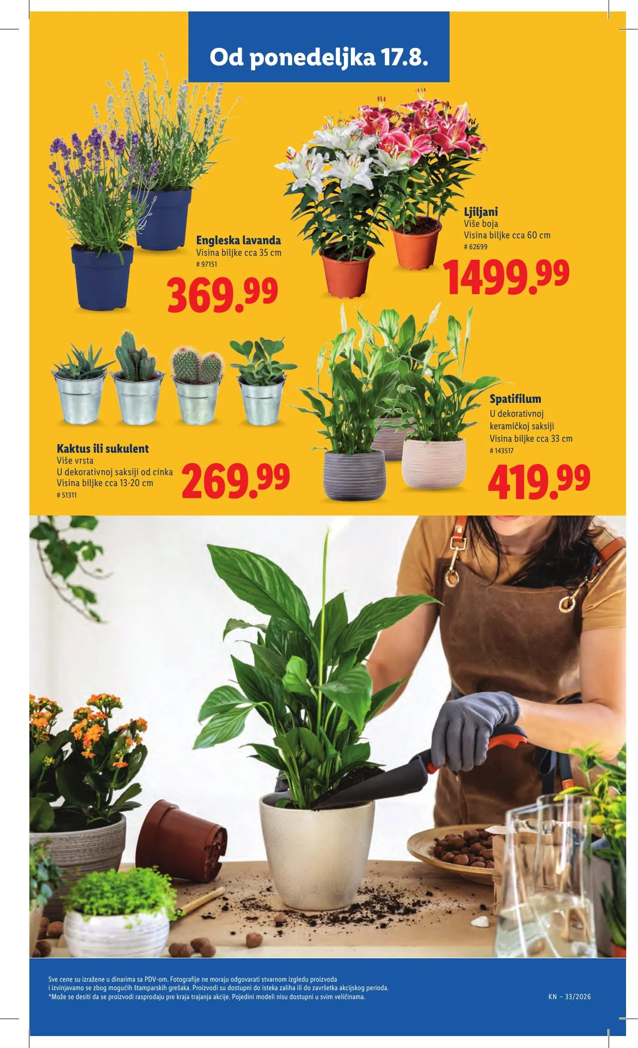 Lidl akciós újság Szerbia 08.13–08.19 – 77. oldal