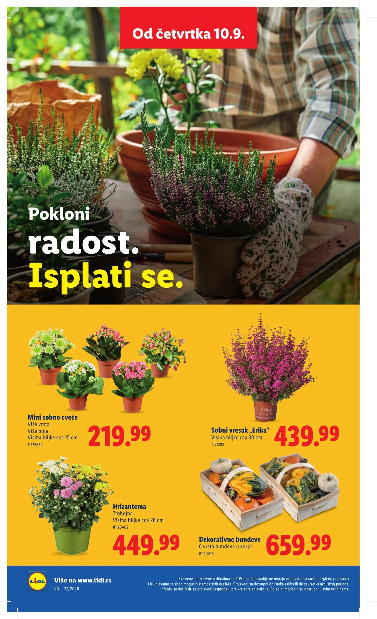 Lidl akciós újság Szerbia 09.10–09.16 – 62. oldal