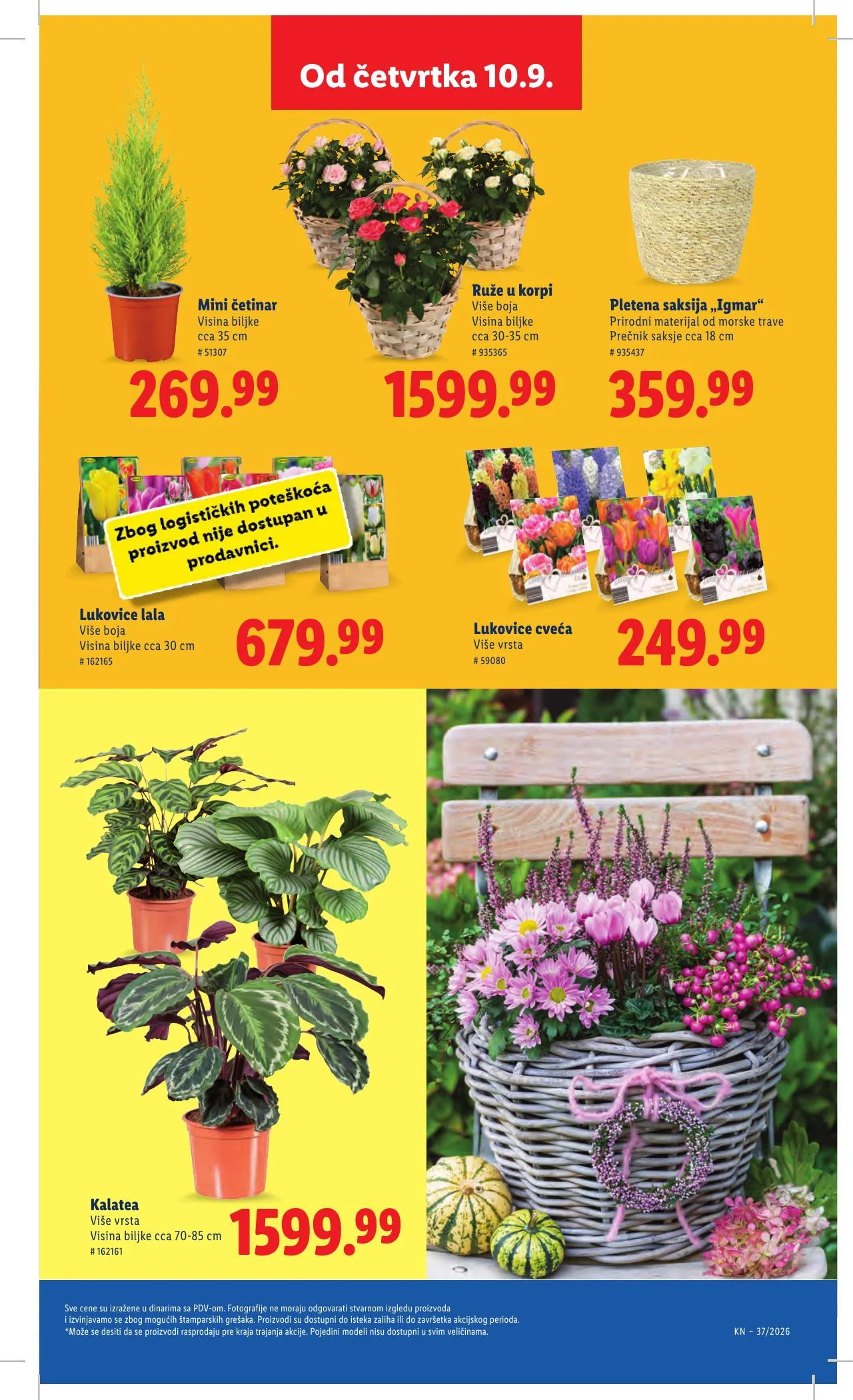 Lidl akciós újság Szerbia 09.10–09.16 – 63. oldal