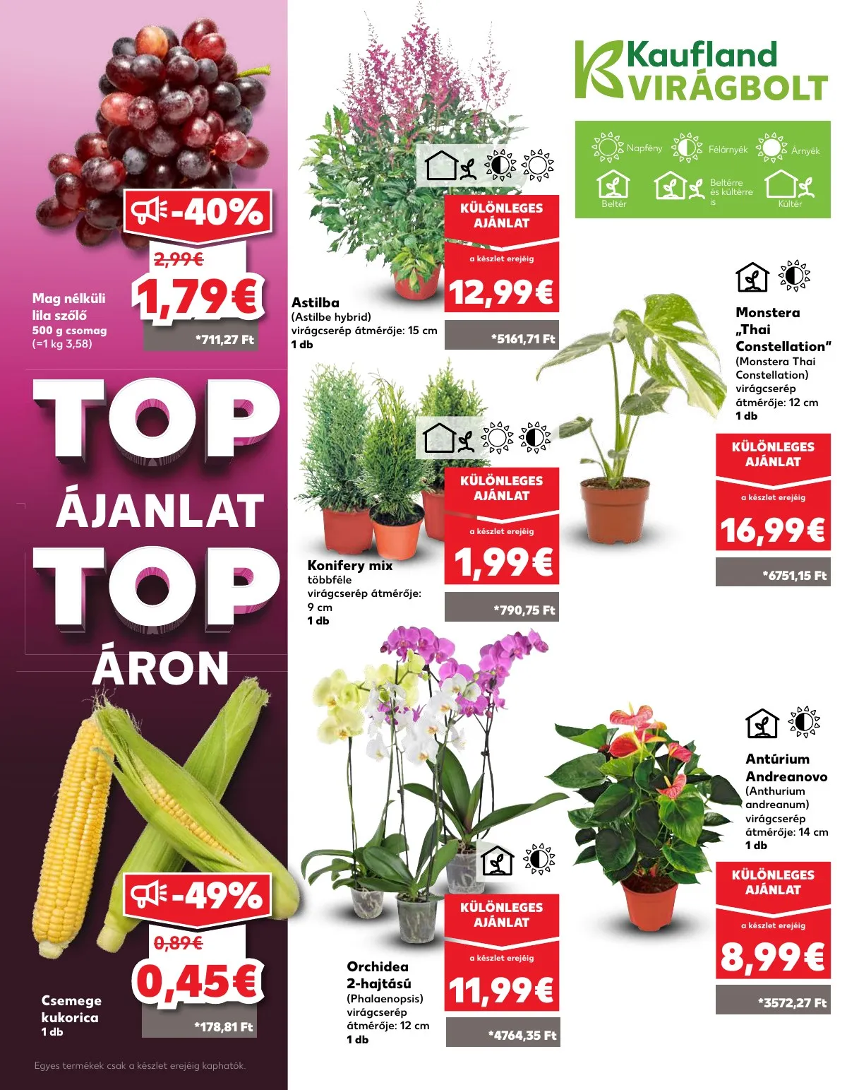 Kaufland akciós újság Losonc Rozsnyo Toketerebes Nagykurtos 08.14–08.20 – 7. oldal
