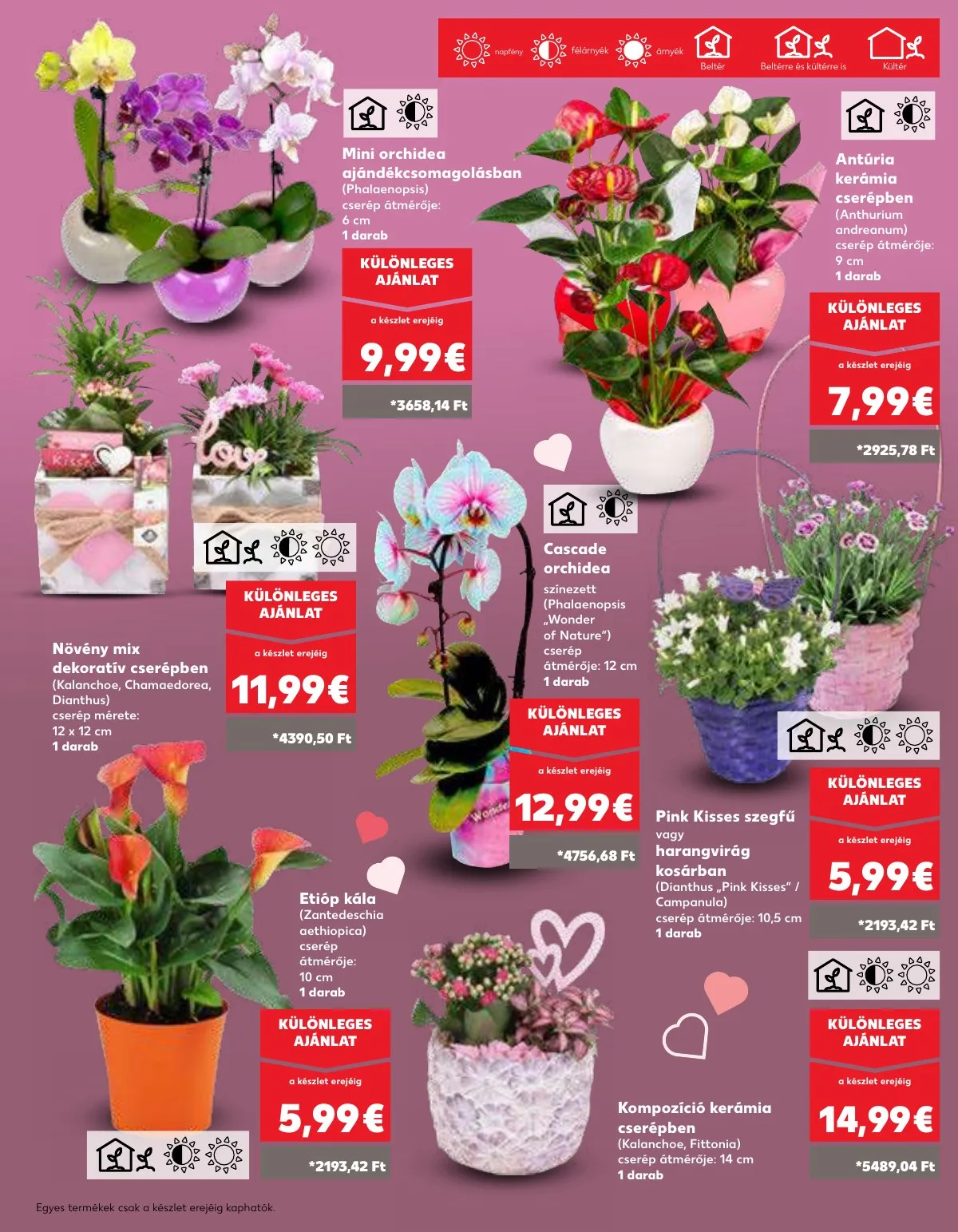 Kaufland akciós újság Losonc Rozsnyo Toketerebes Nagykurtos 05.07–05.13 – 13. oldal