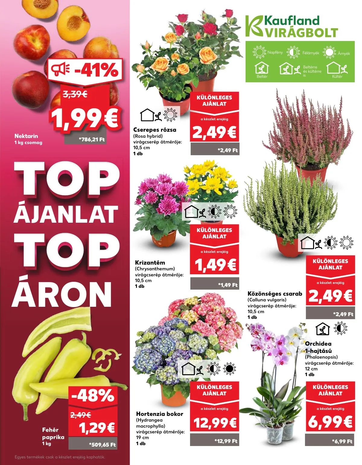 Kaufland akciós újság Pozsony Komarom 08.21–08.28 – 7. oldal