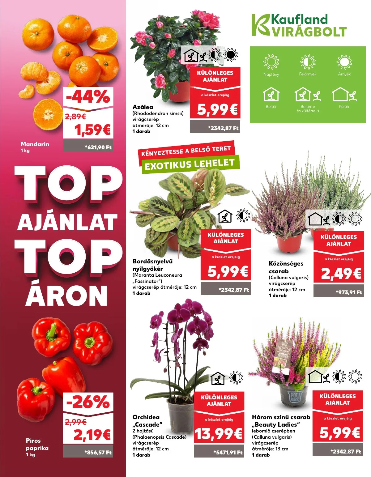 Kaufland akciós újság Pozsony Komarom 10.02–10.08 – 7. oldal