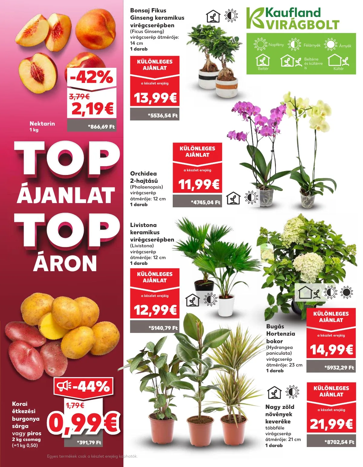 Kaufland akciós újság Somorja 08.28–09.03 – 7. oldal