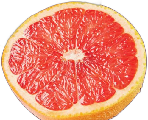 Grapefruit