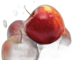Red Jonaprince alma