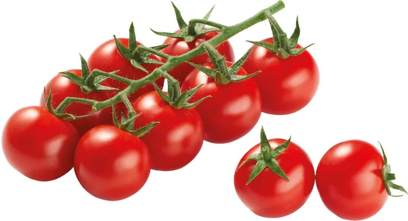 Cherry fürtös paradicsom