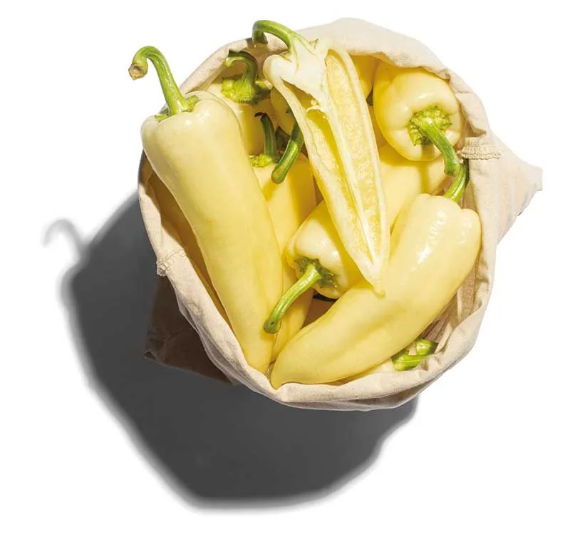 Slatka paprika