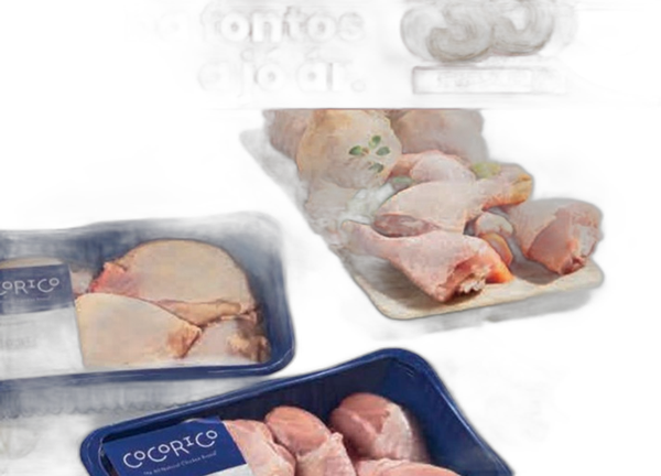 Coco Rico csirke alsócomb, felsőcomb