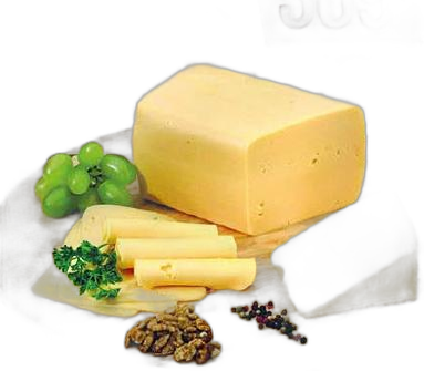 Trappista