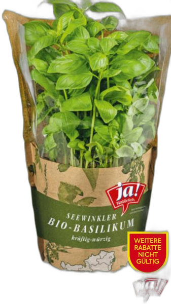 Ja! natürlich bio-kräuter im topf